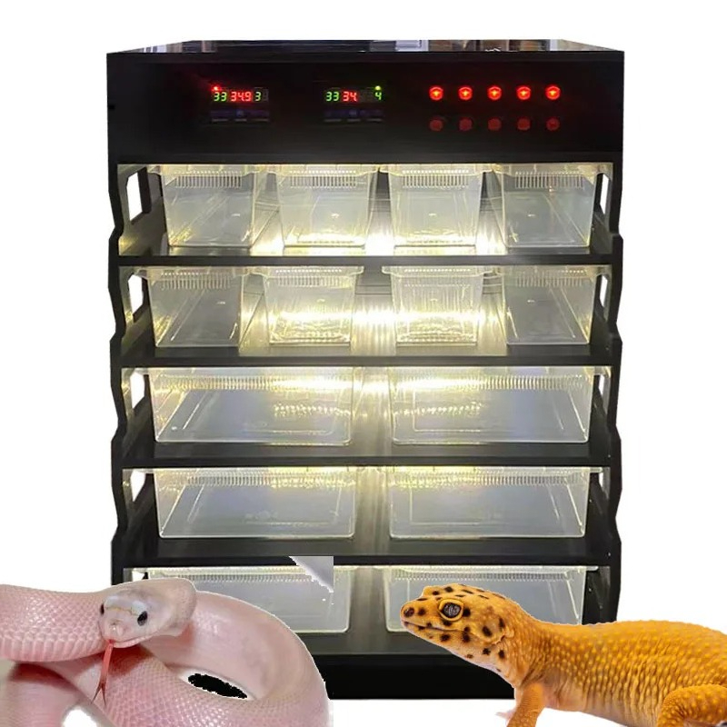 Gecko Lighting & Decor - Akıllı PVC Sürüngen Mobilyaları, Sürüngen Malzemeleri,