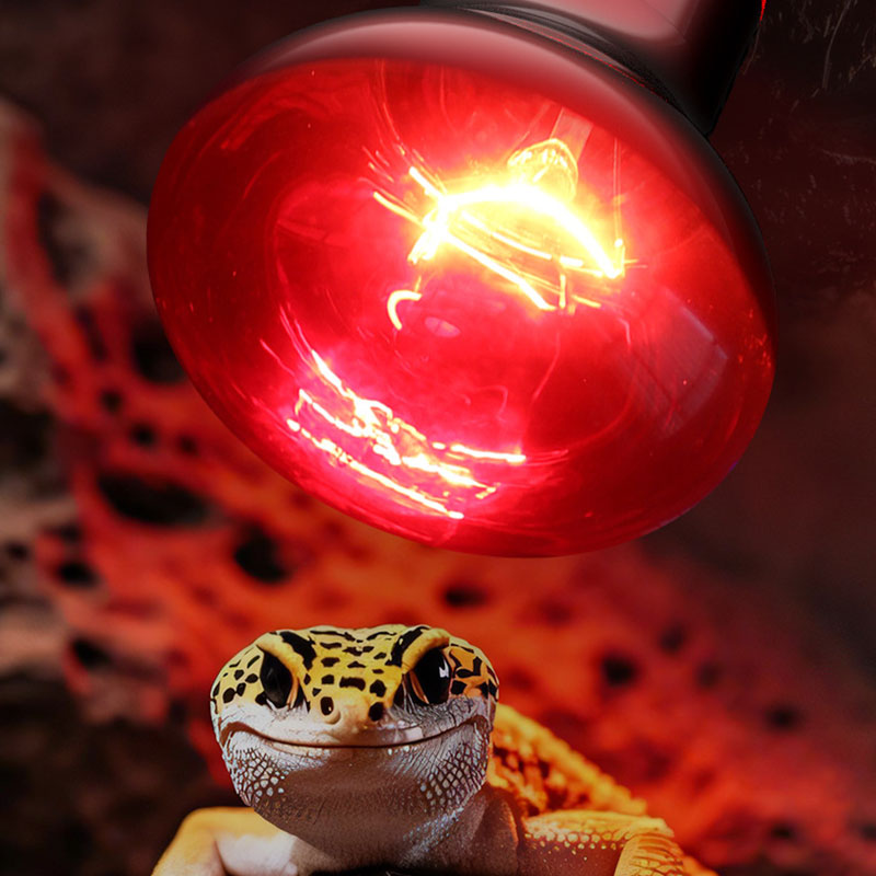 Sürüngen Isıtma Lambası 100V/2 - Gecko Lighting & Decor incelemesi ve fiyatı