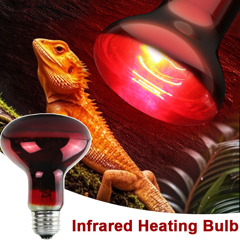 Sürüngen Isıtma Lambası 100V/2 - Gecko Lighting & Decor incelemesi ve fiyatı