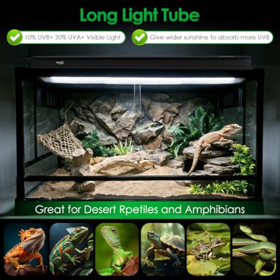Sürüngen teraryum aydınlatma k - Gecko Lighting & Decor incelemesi ve fiyatı
