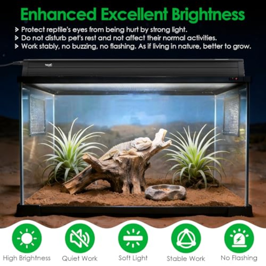 Sürüngen teraryum aydınlatma k - Gecko Lighting & Decor incelemesi ve fiyatı