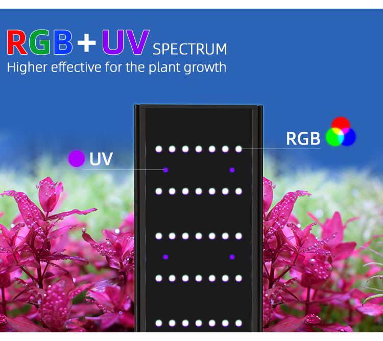 WEEK AQUA L Serisi APP Kontrol - Lighting Gallery incelemesi ve fiyatı