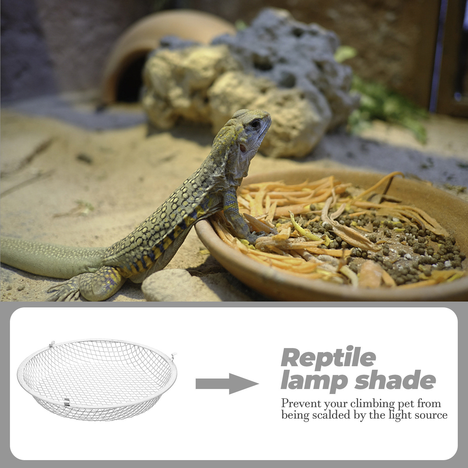 Sürüngen Isıtma Lambası Kapağı - Gecko Lighting & Decor incelemesi ve fiyatı