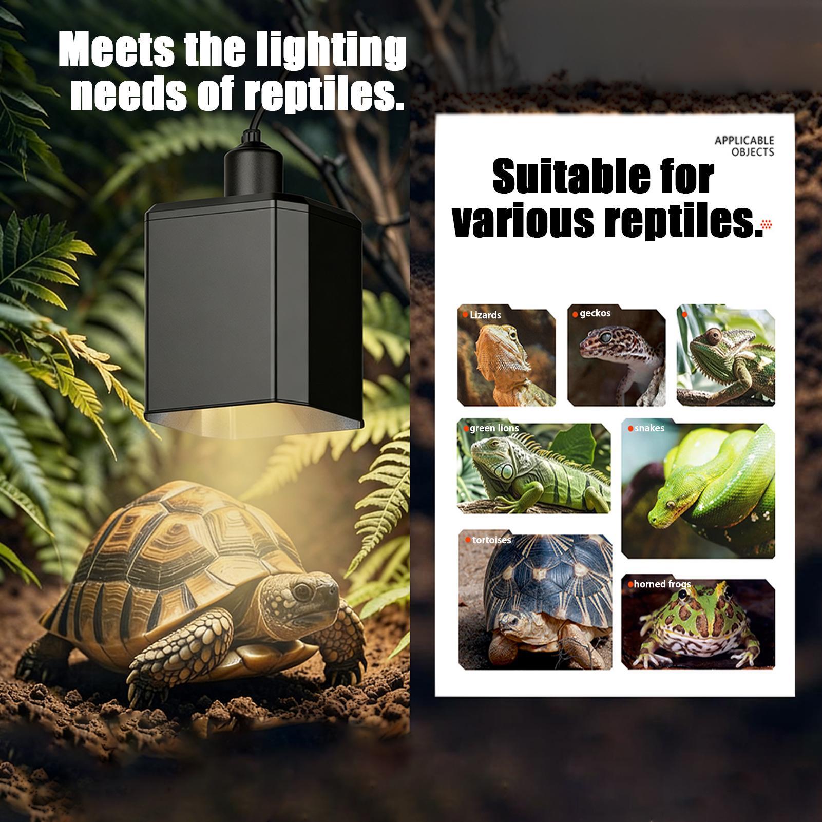Sürüngenler için ısı lambası g - Gecko Lighting & Decor incelemesi ve fiyatı