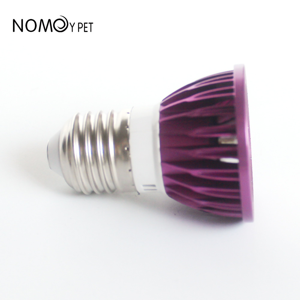 NOMOY Ayışığı LED Gece Lambası - Gecko Lighting & Decor incelemesi ve fiyatı